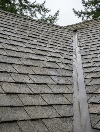 After, Roof Moss Removal (example job)