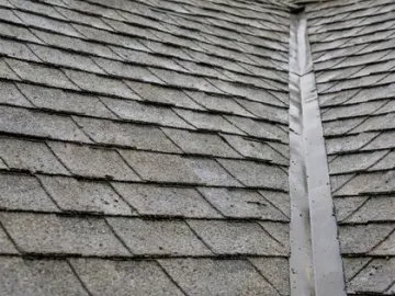 Soft wash roof cleaning result