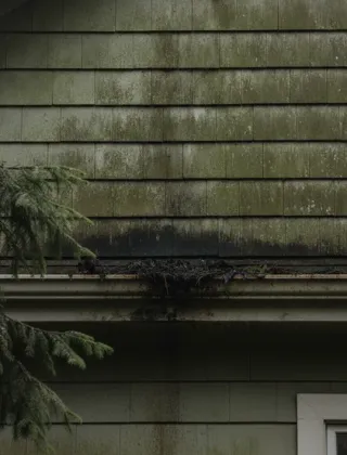 Before, Exterior Soft Washing (example job)